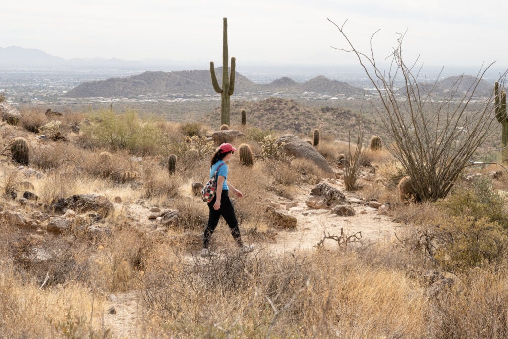 A person wearing a red hat and blue shirt hikes along a dry, rocky desert trail with cacti and distant mountains in the background.